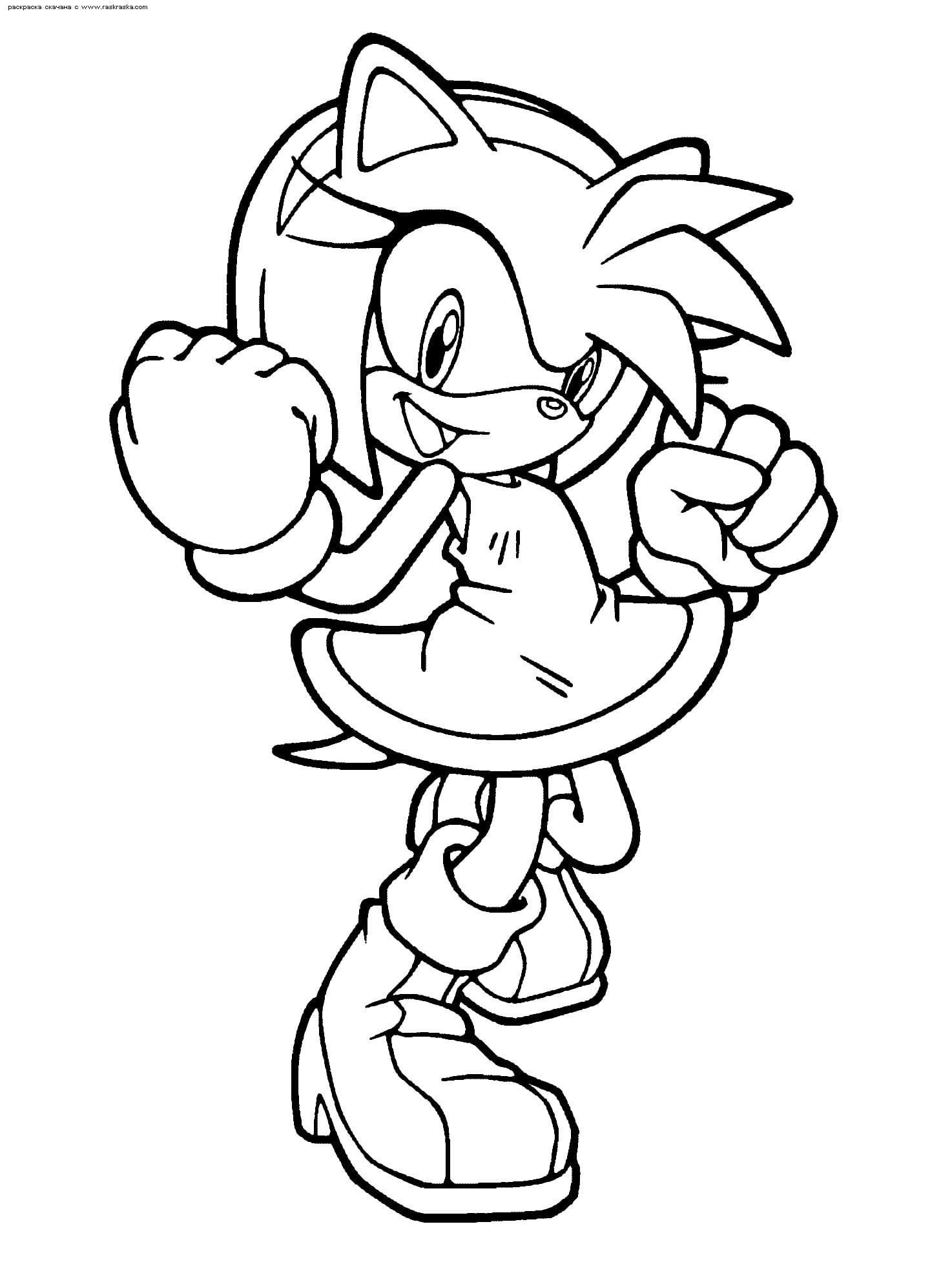 Free Printable Coloring Pages Sonic Hedgehog Amy