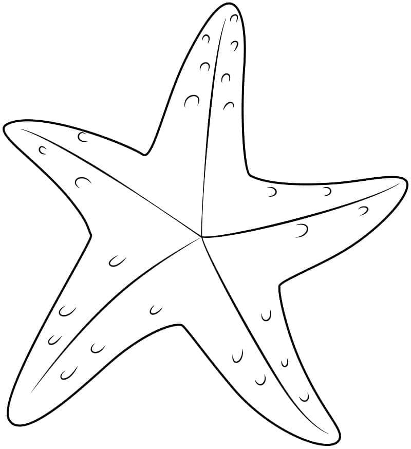 Cute Free Printable Starfish Coloring Pages Coloring Pages