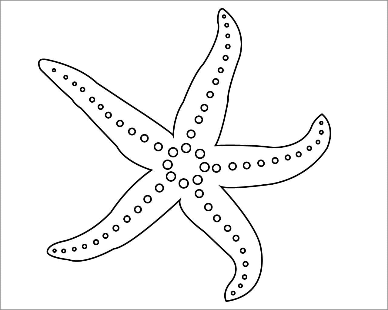 Starfish