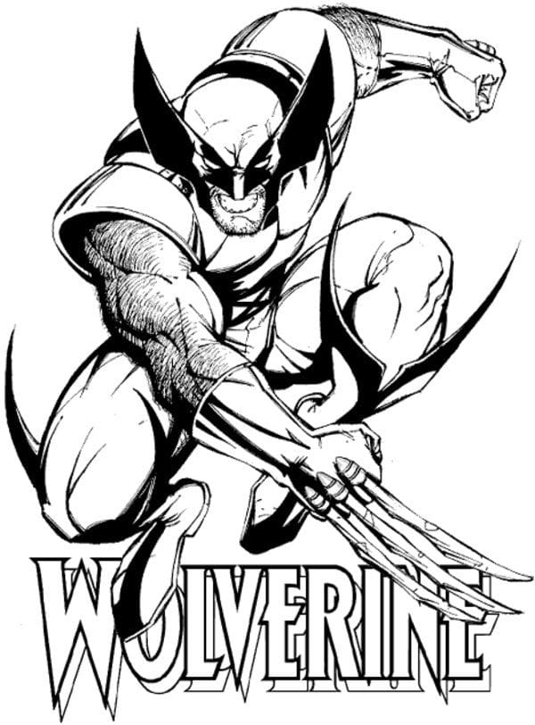 Wolverine