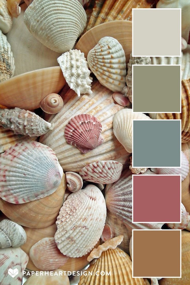 20 Painted Sea Shell Designs