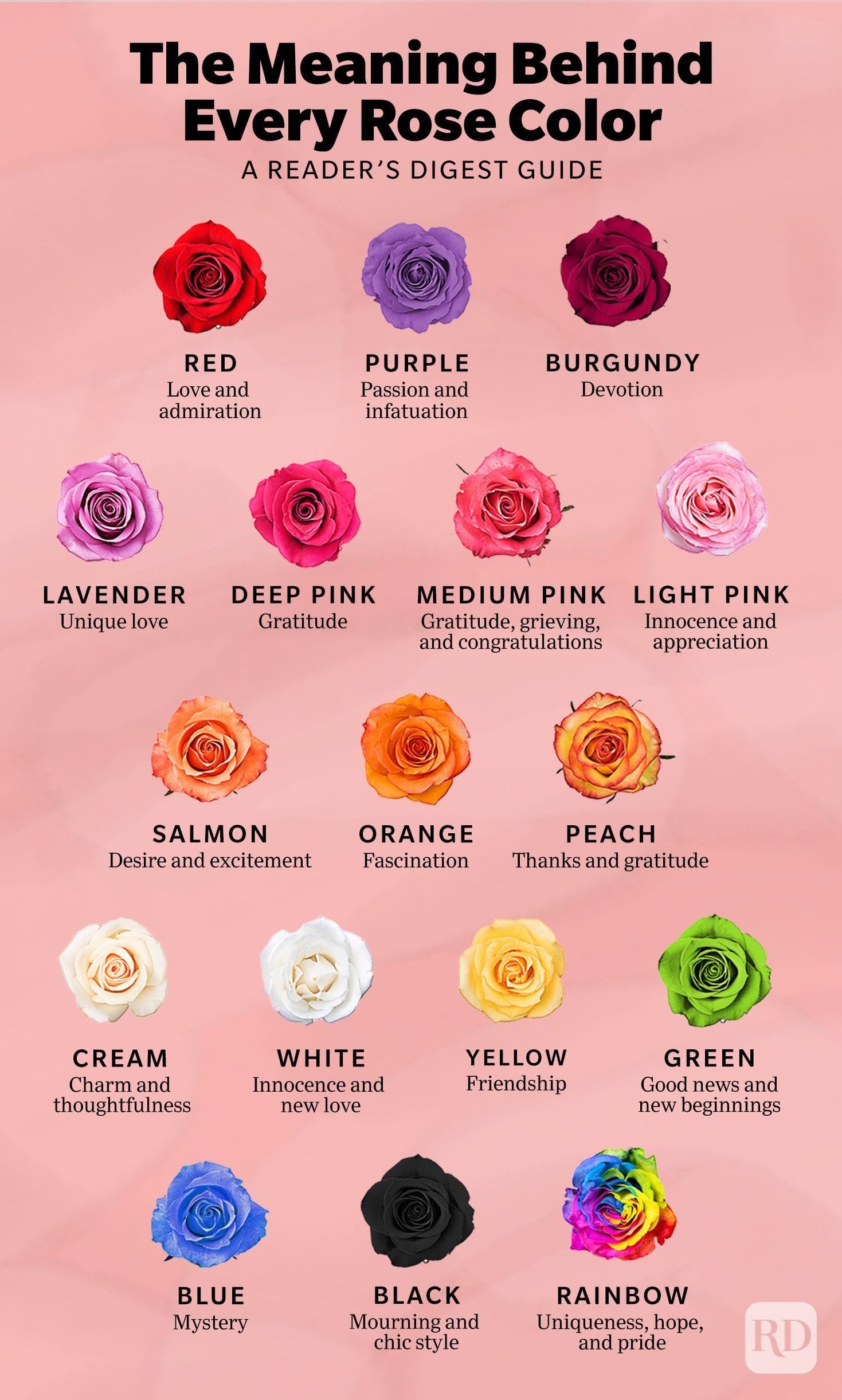 National Rose Month: The Meaning of Rose Colors