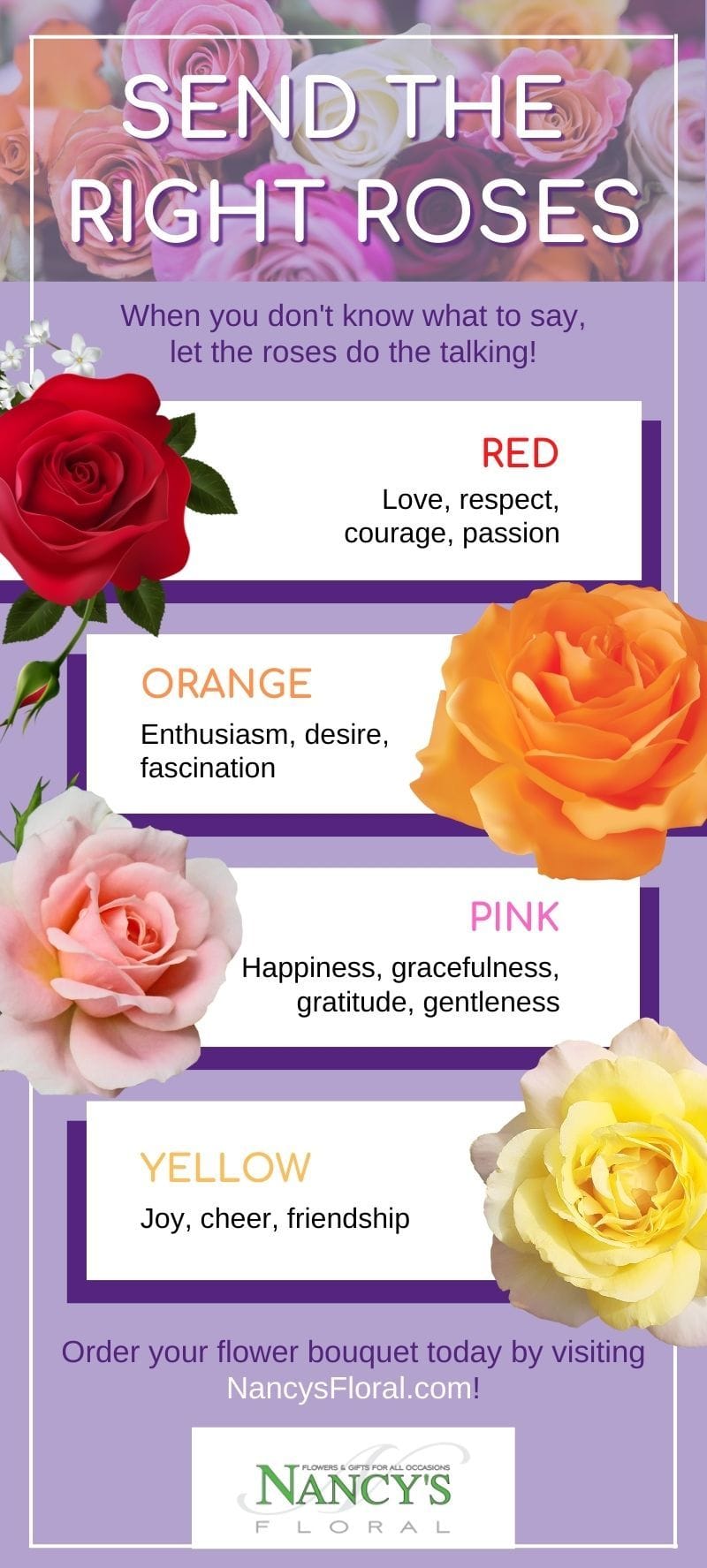 17 Rose Color Meanings to Help You Choose the Perfect Bouquet