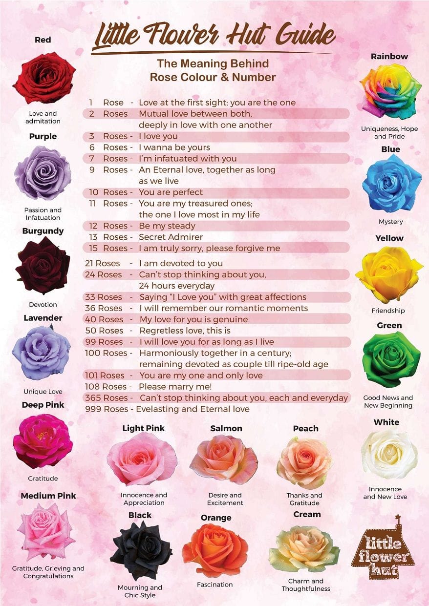 Rose Color Chart Meanings