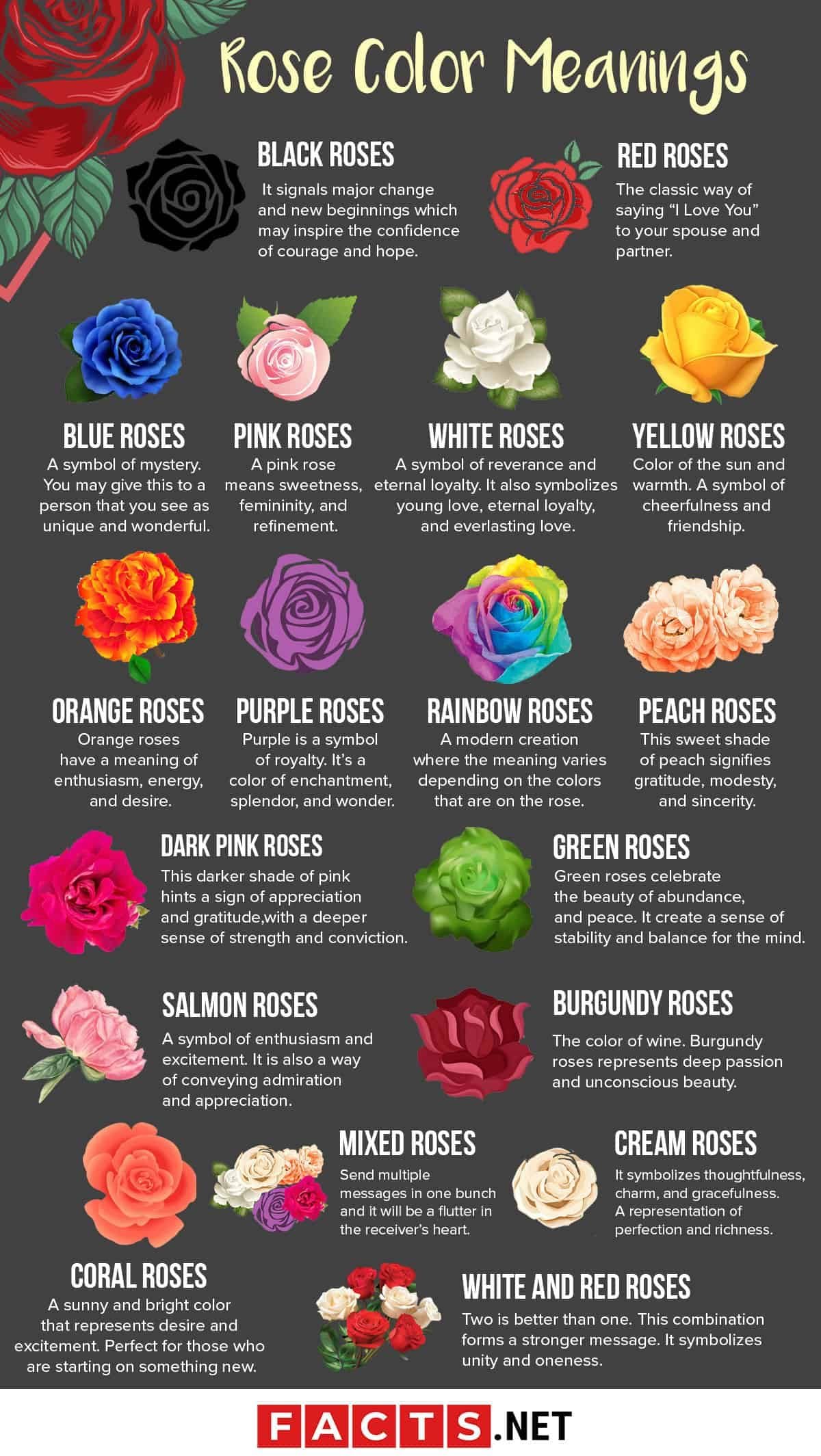 Meaning of Roses by Number and Colours