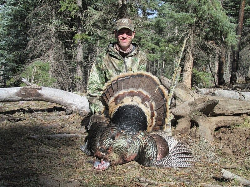 Colorado Turkey Hunts