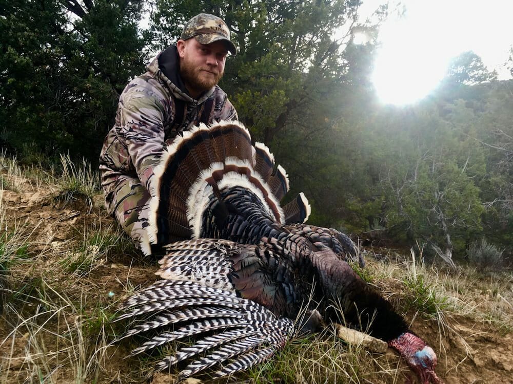 Colorado Turkey Hunts