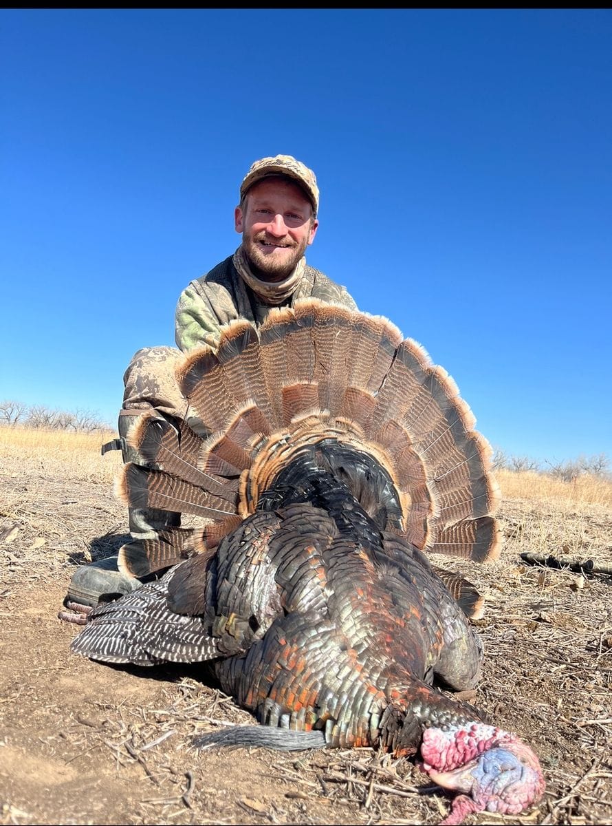 Colorado Turkey Hunts