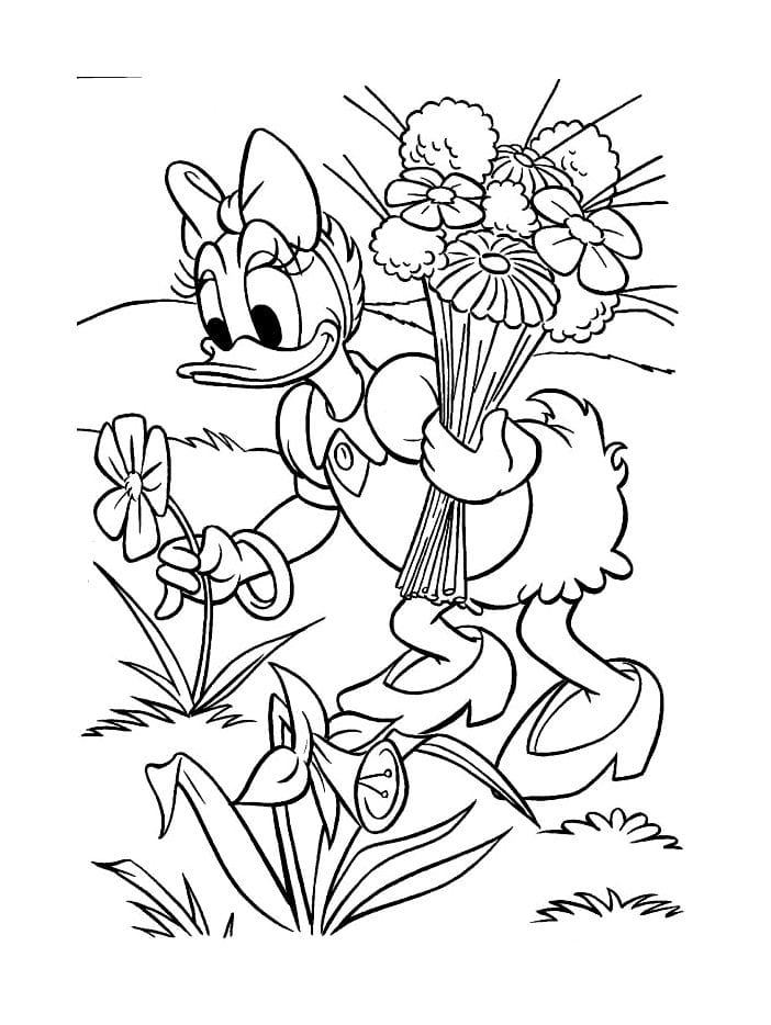 Daisy Coloring Pages