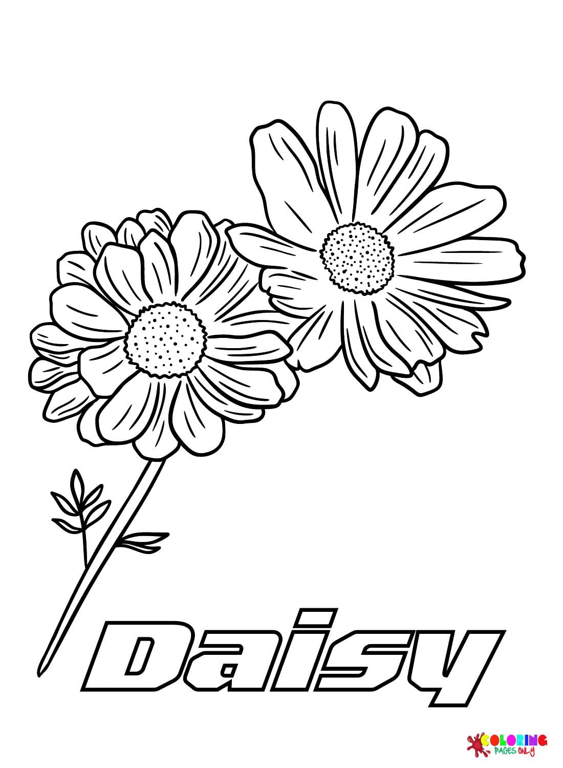 Free Daisy Flower Coloring Pages