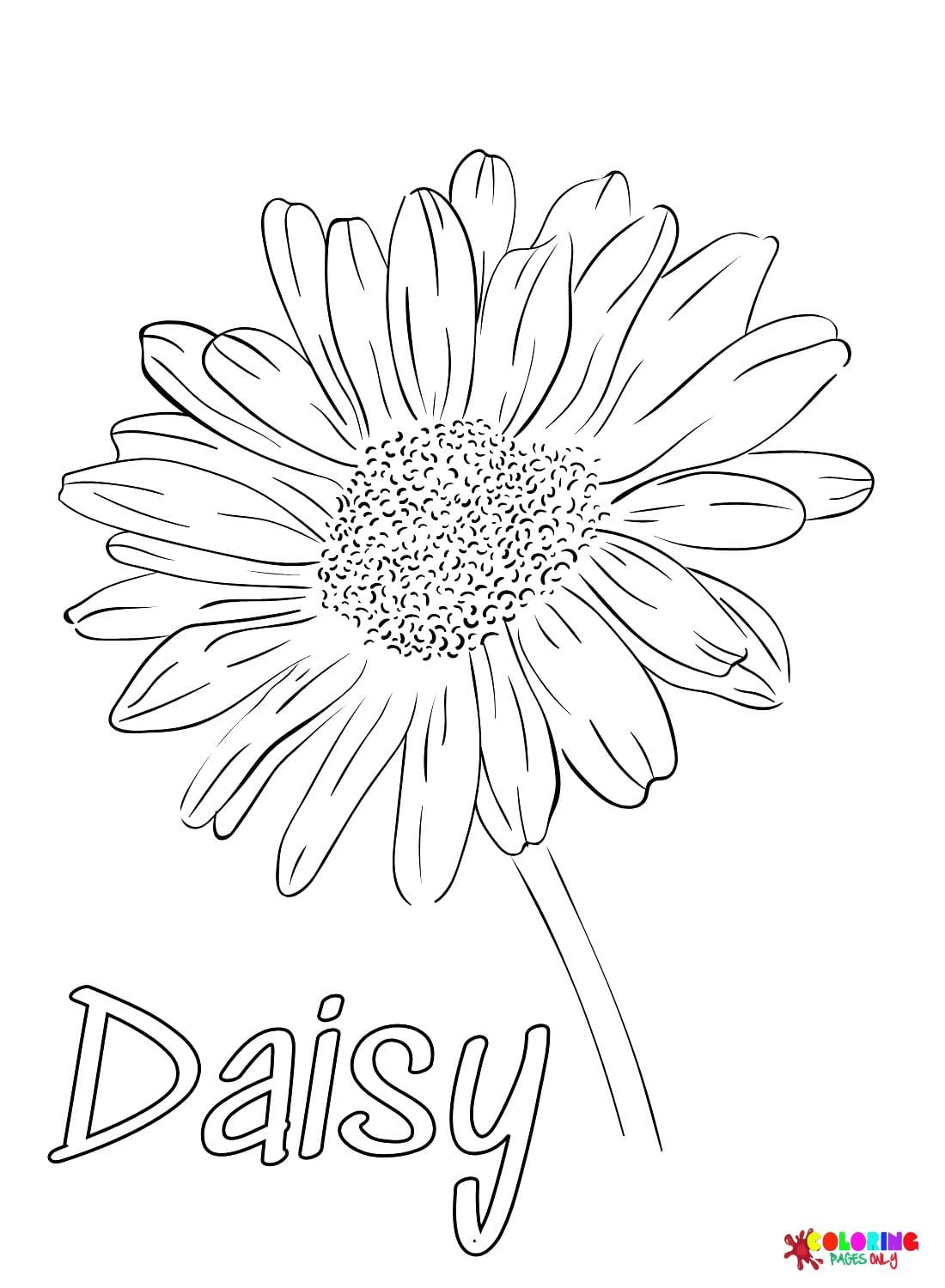 Daisy coloring pages for children