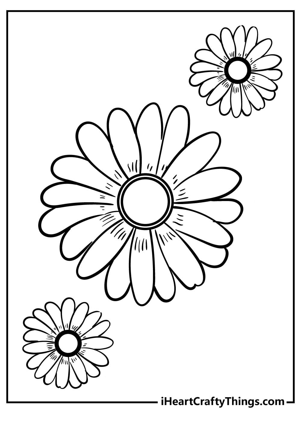 Daisy Coloring Pages