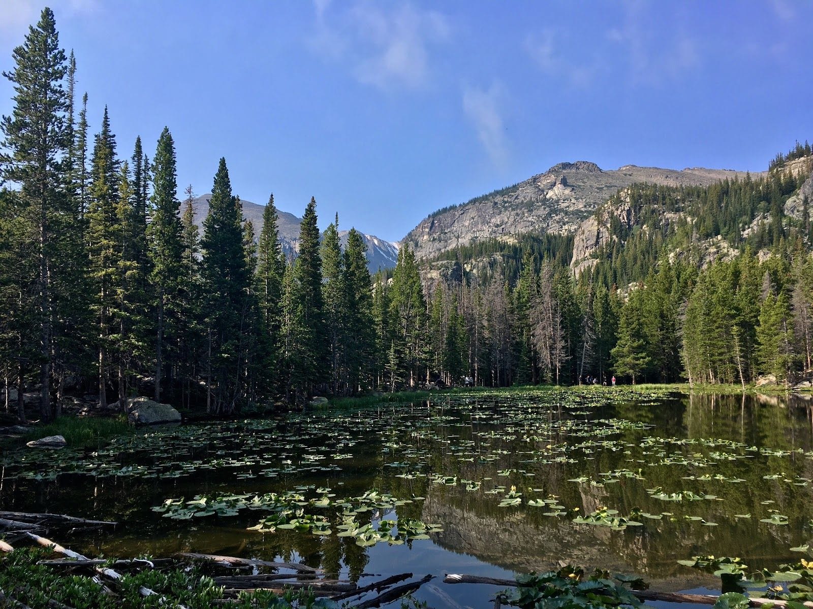 Top 9 Hikes Within 45 Minutes of Parker