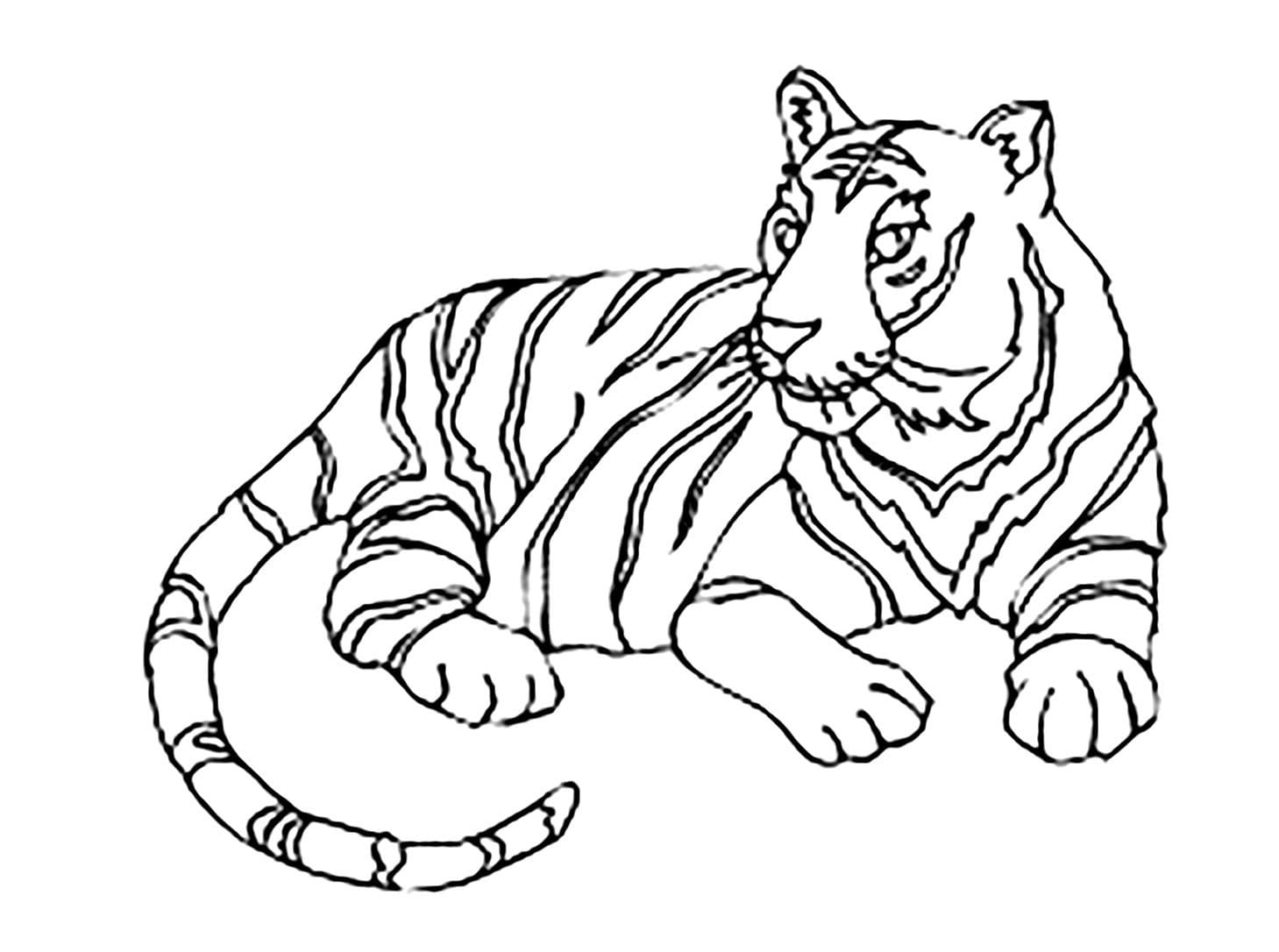 Free tiger drawing to print and color