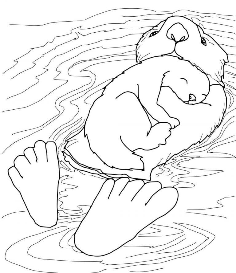 Otter Coloring Page For Kids Free Download Artus Art