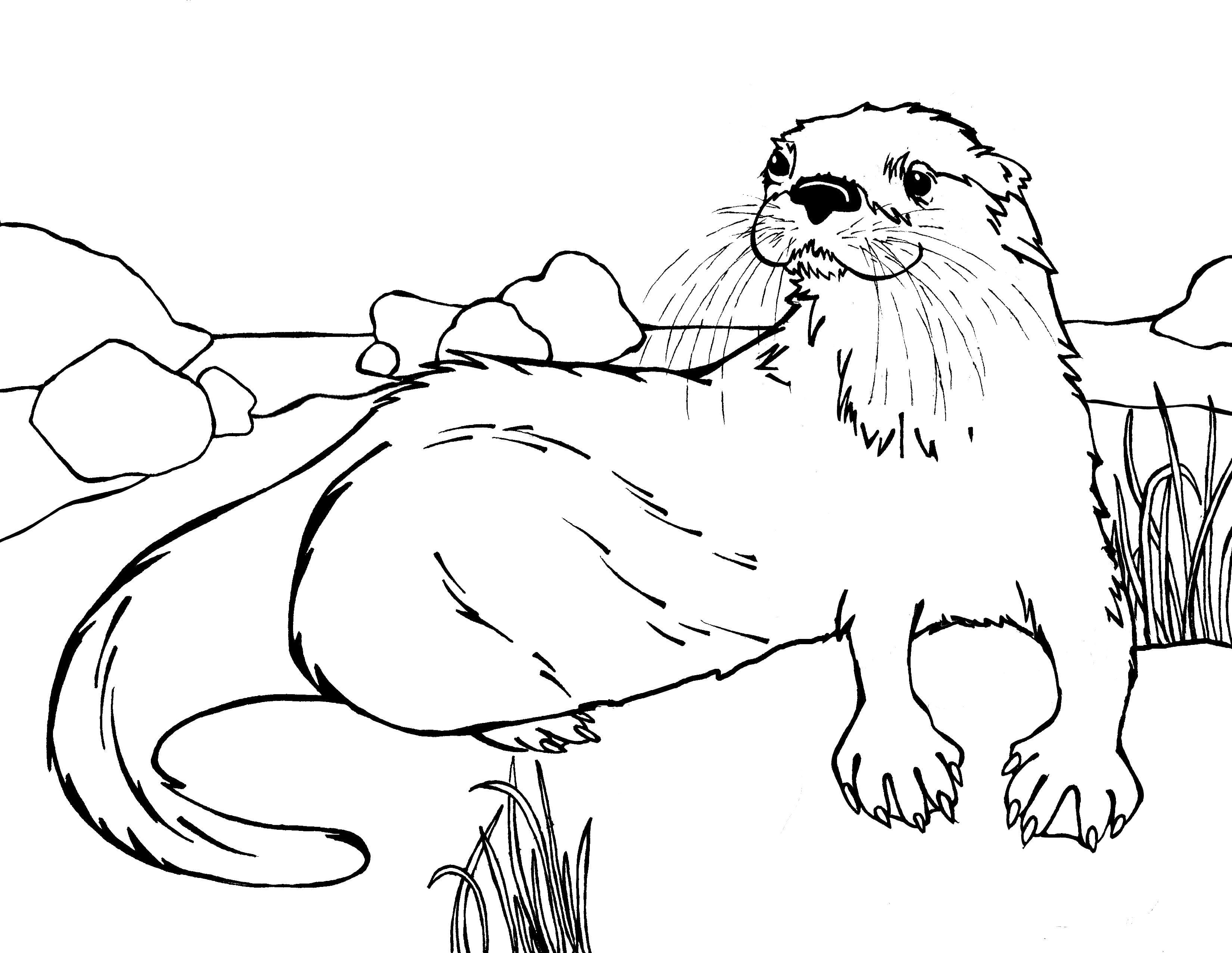 20 Otter Coloring Pages (Free PDF Printables)