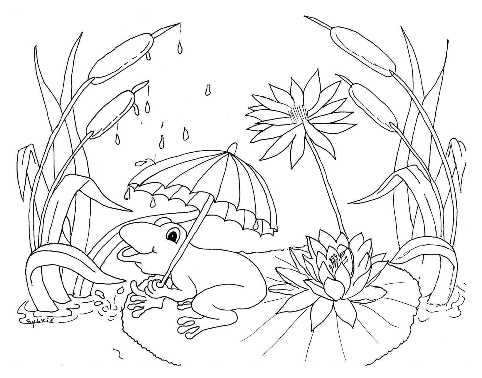 Weather Coloring Page Preschool Mothers Day Out Daycare