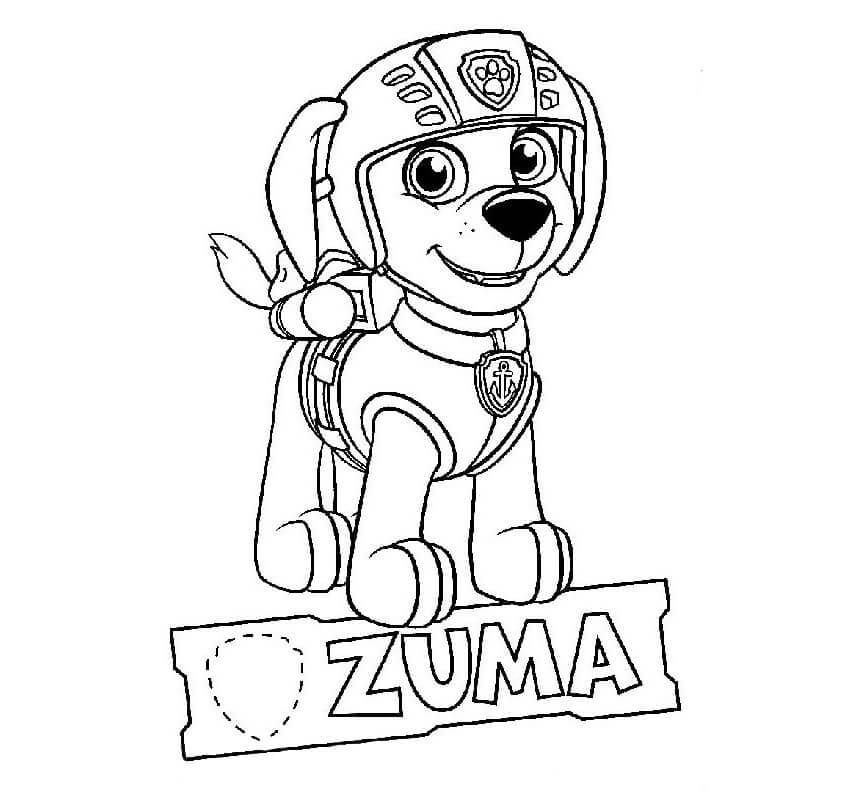 Paw patrol Zuma free coloring page