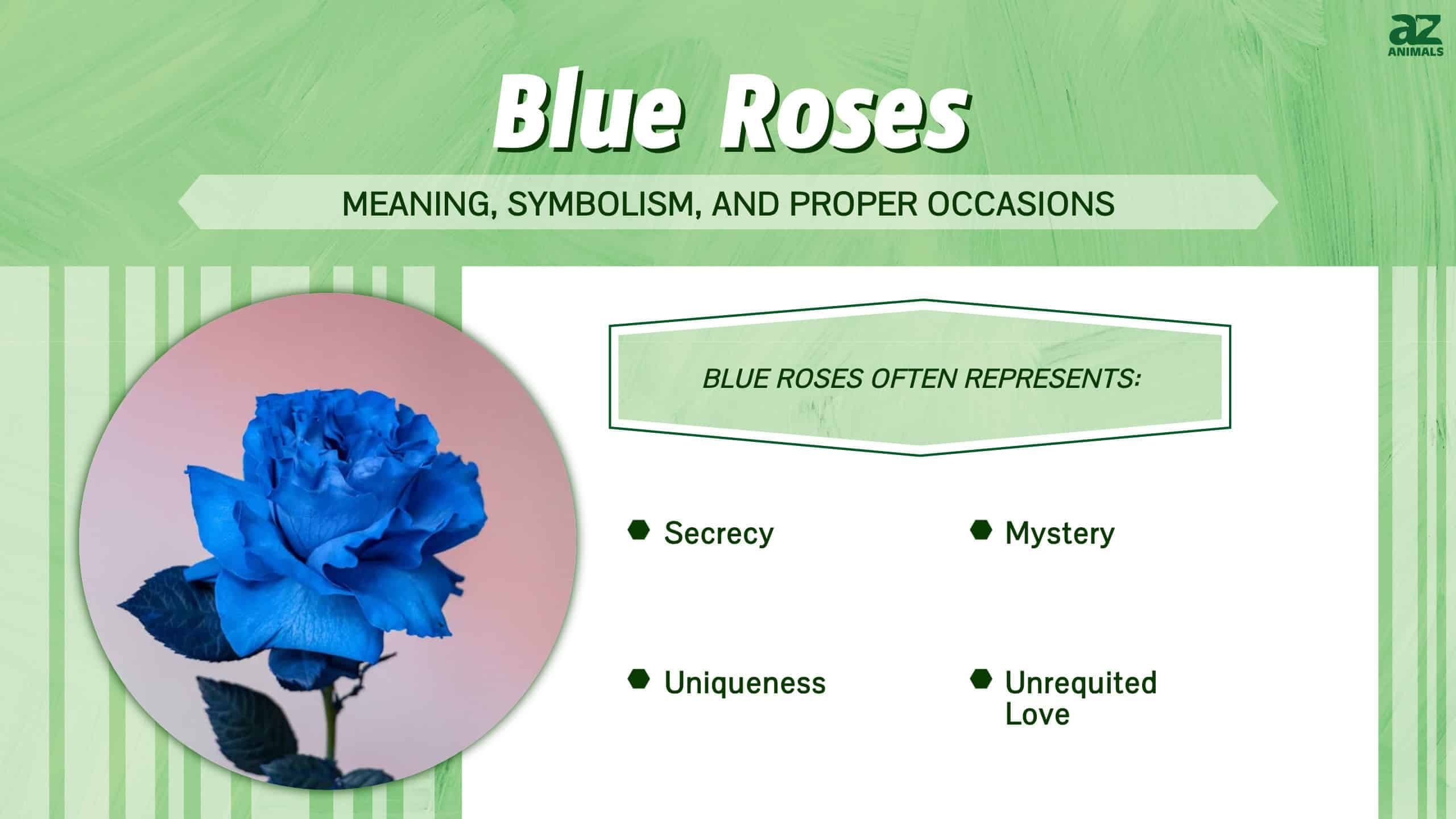 Blue Roses