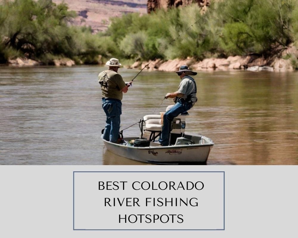 Best fishing spots on the Colorado River