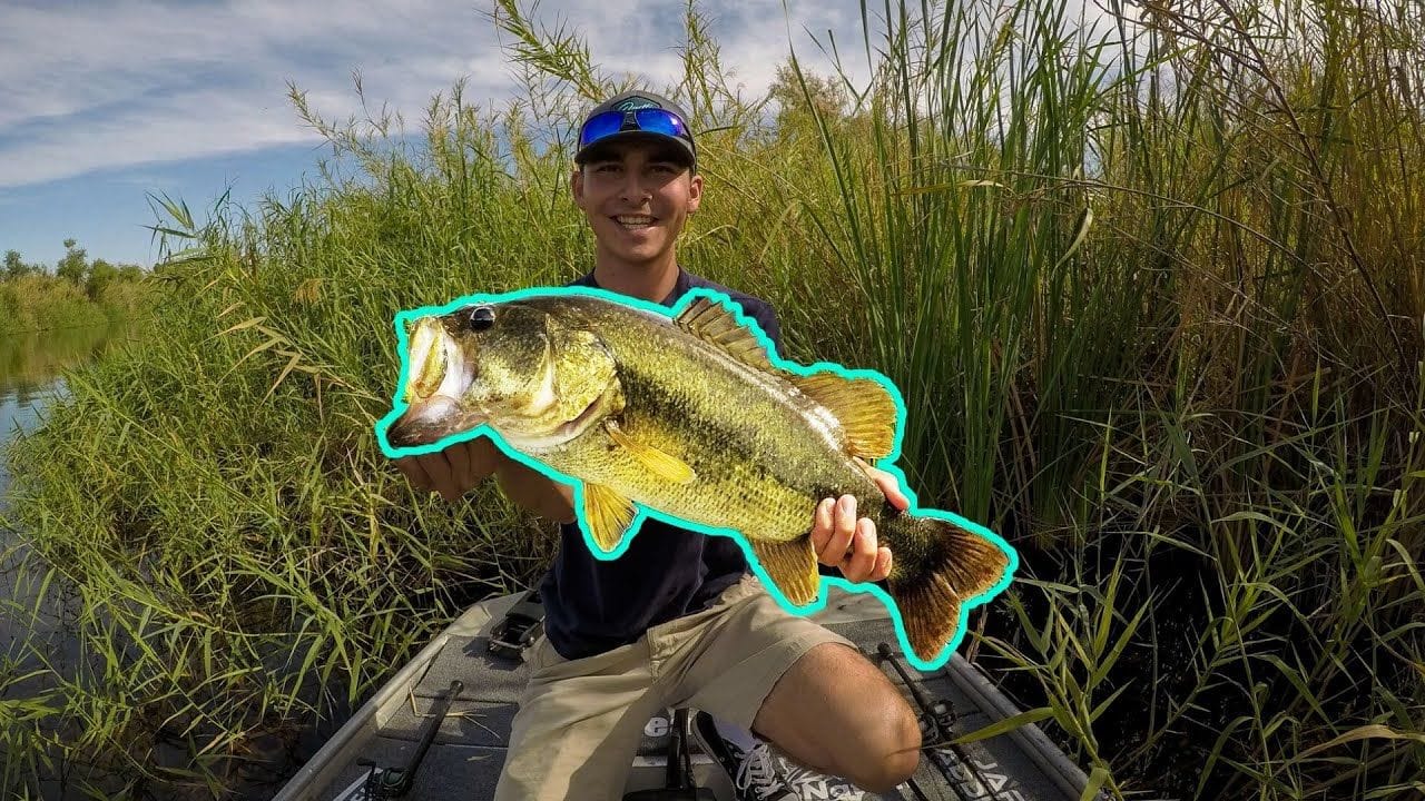 Fishing techniques for the Colorado River