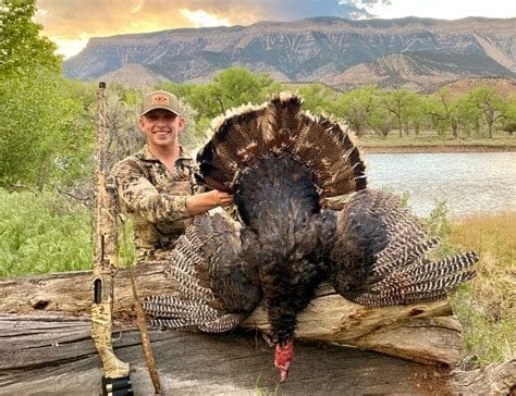 Turkey Hunting in Colorado