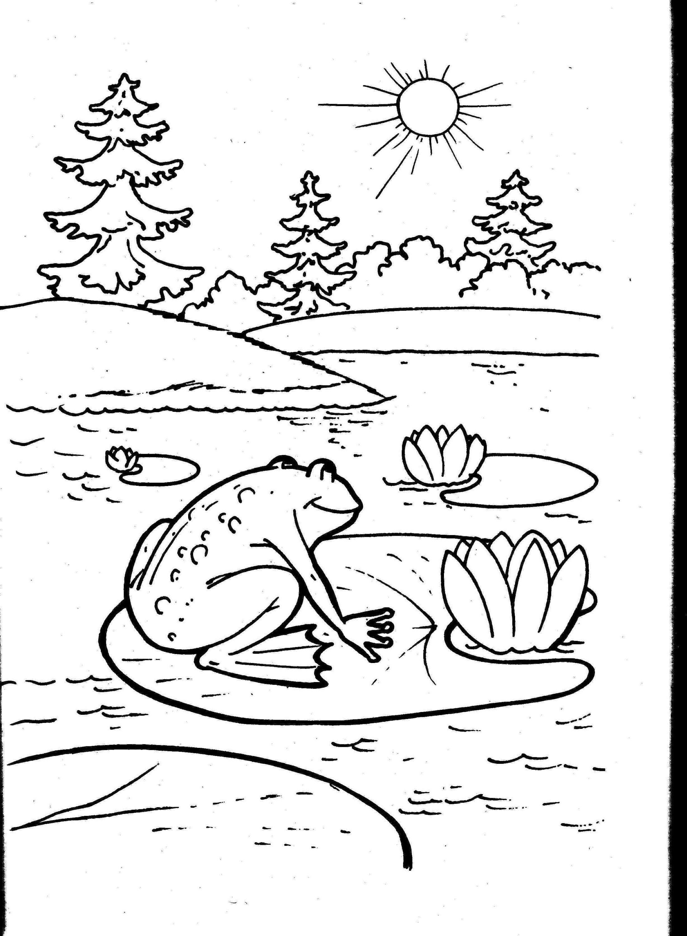 Coloring Page Activity