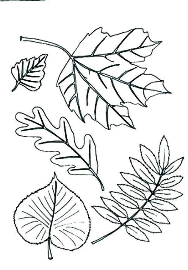 Types of Coloring Pages for Kids