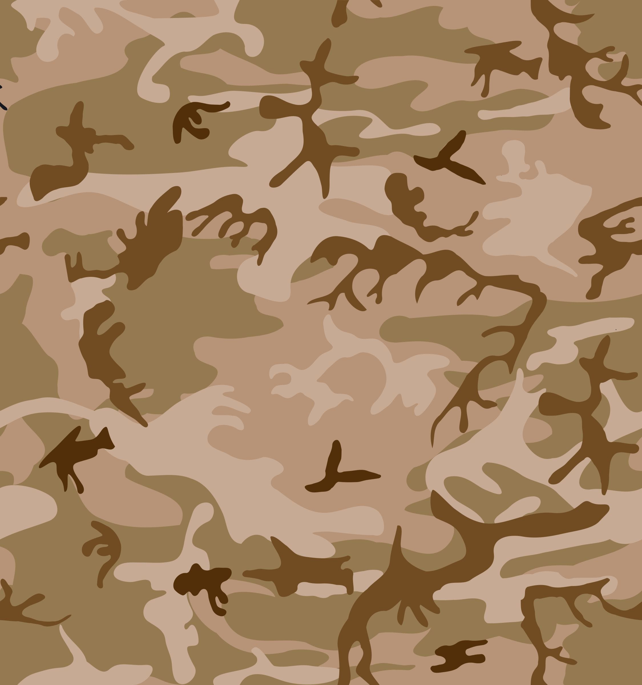 Desert Camouflage Pattern