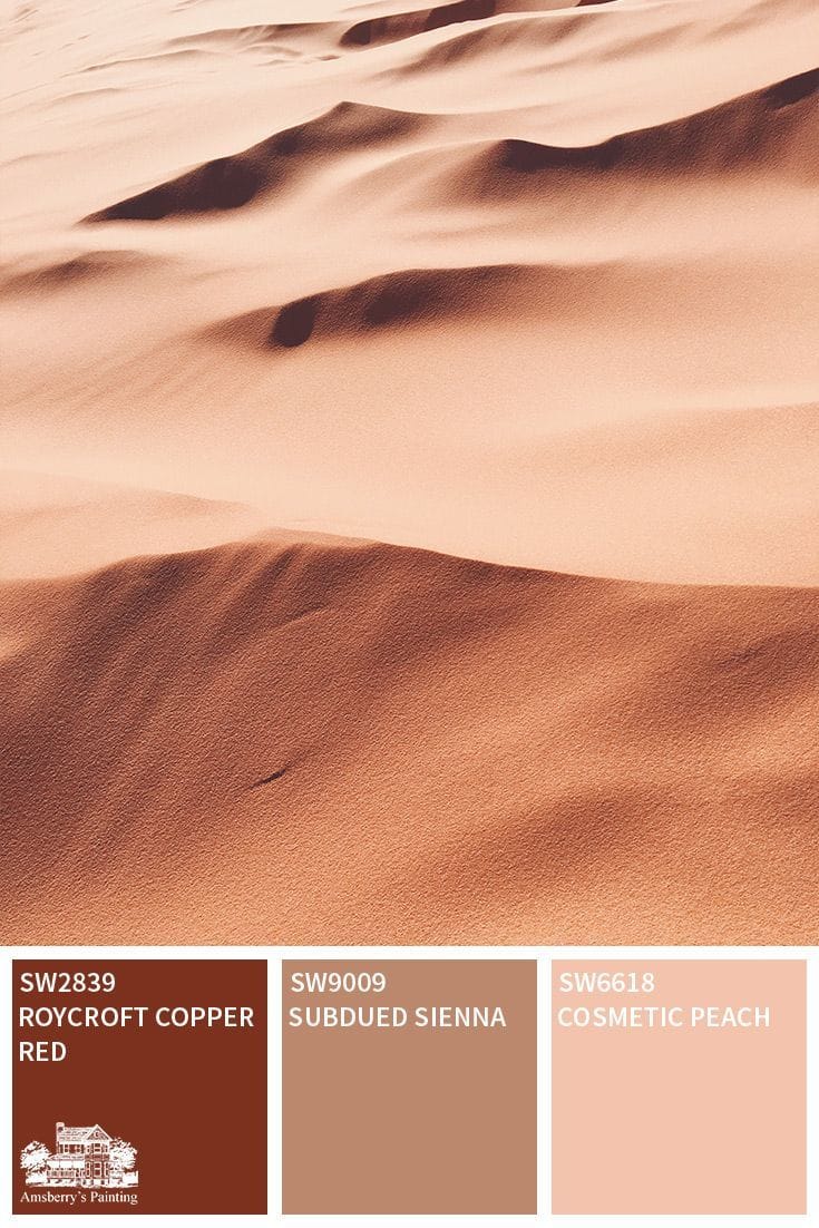 Desert Sand Paint Shade