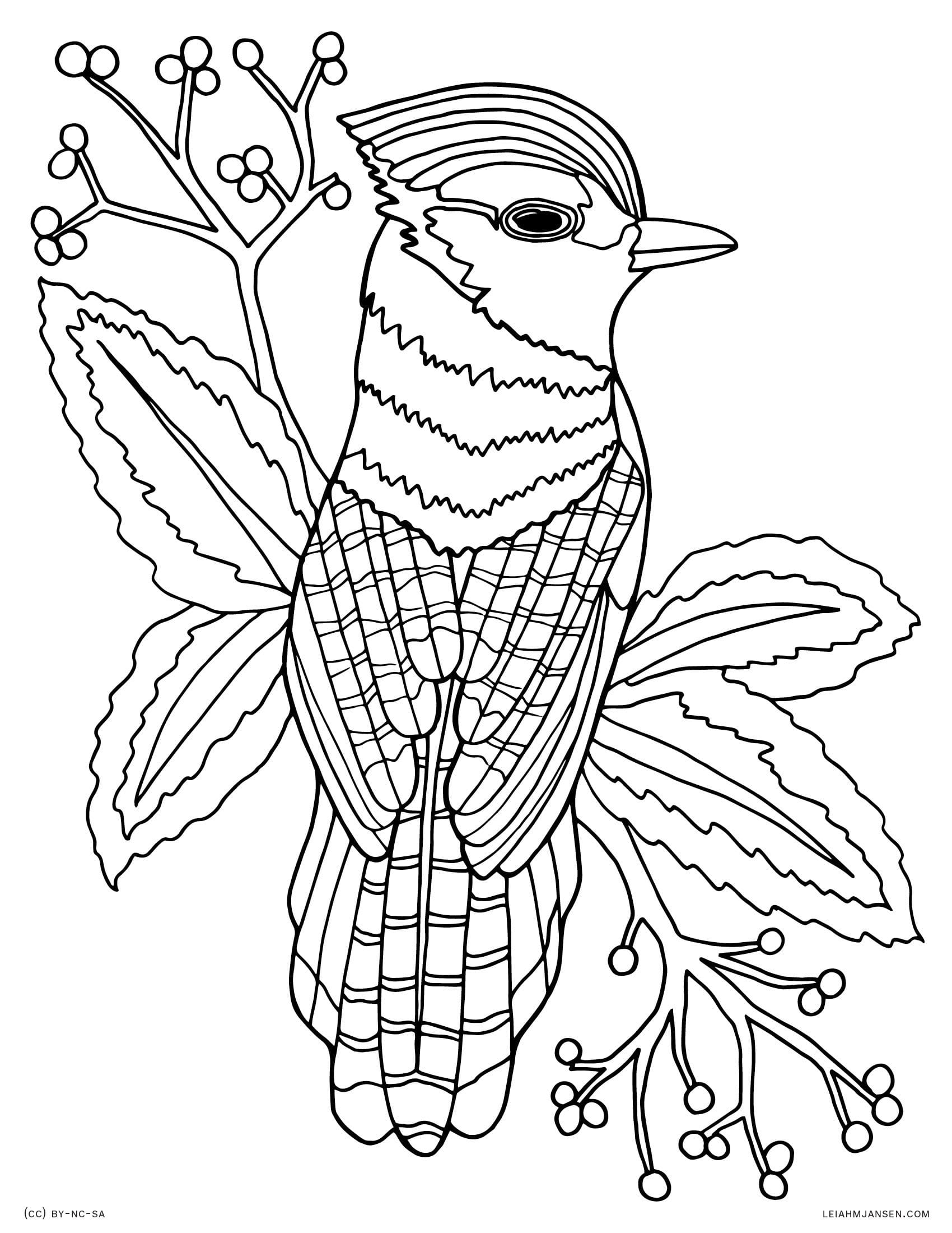 Free coloring pictures