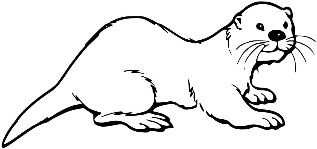 Free Otter Coloring Pages for Kids