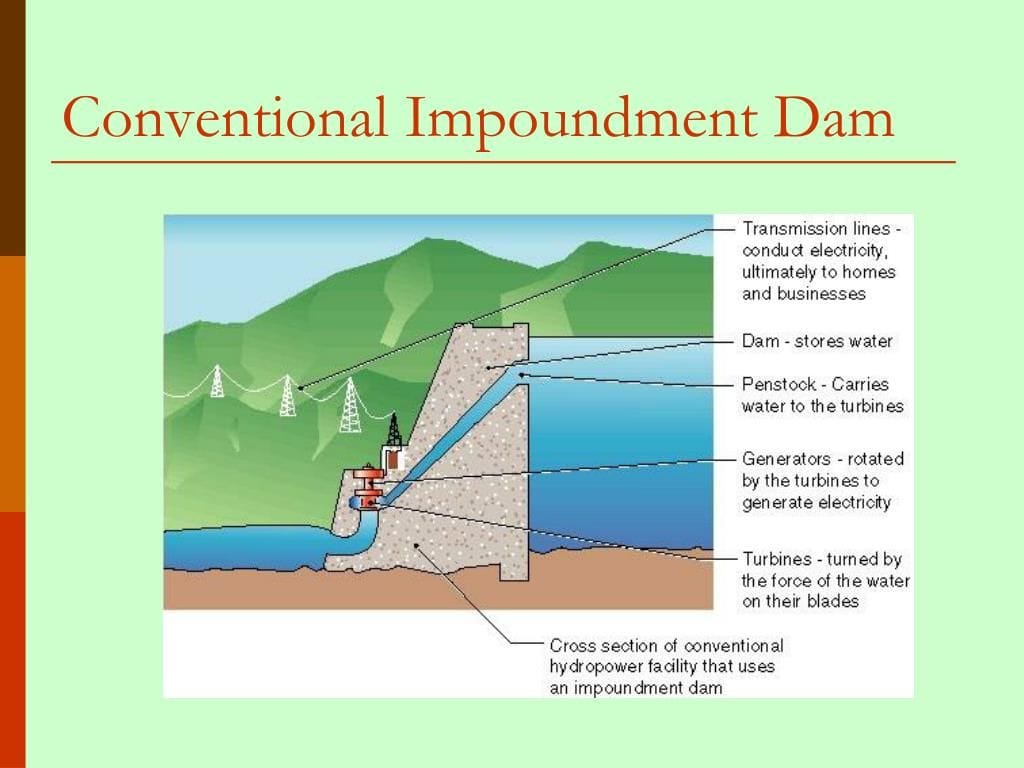 Understanding the Impoundment Process