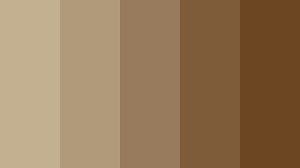 Khaki Brown in Different Seasons