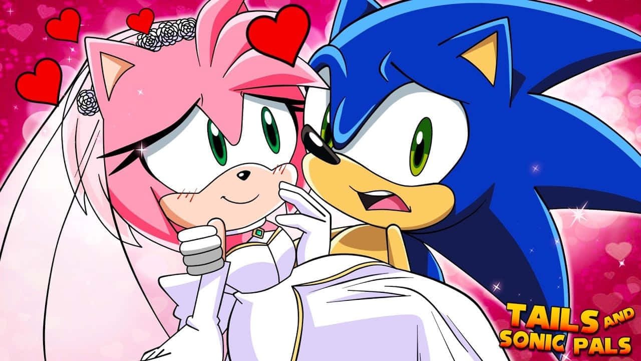 Sonic and Amy's adventure coloring page