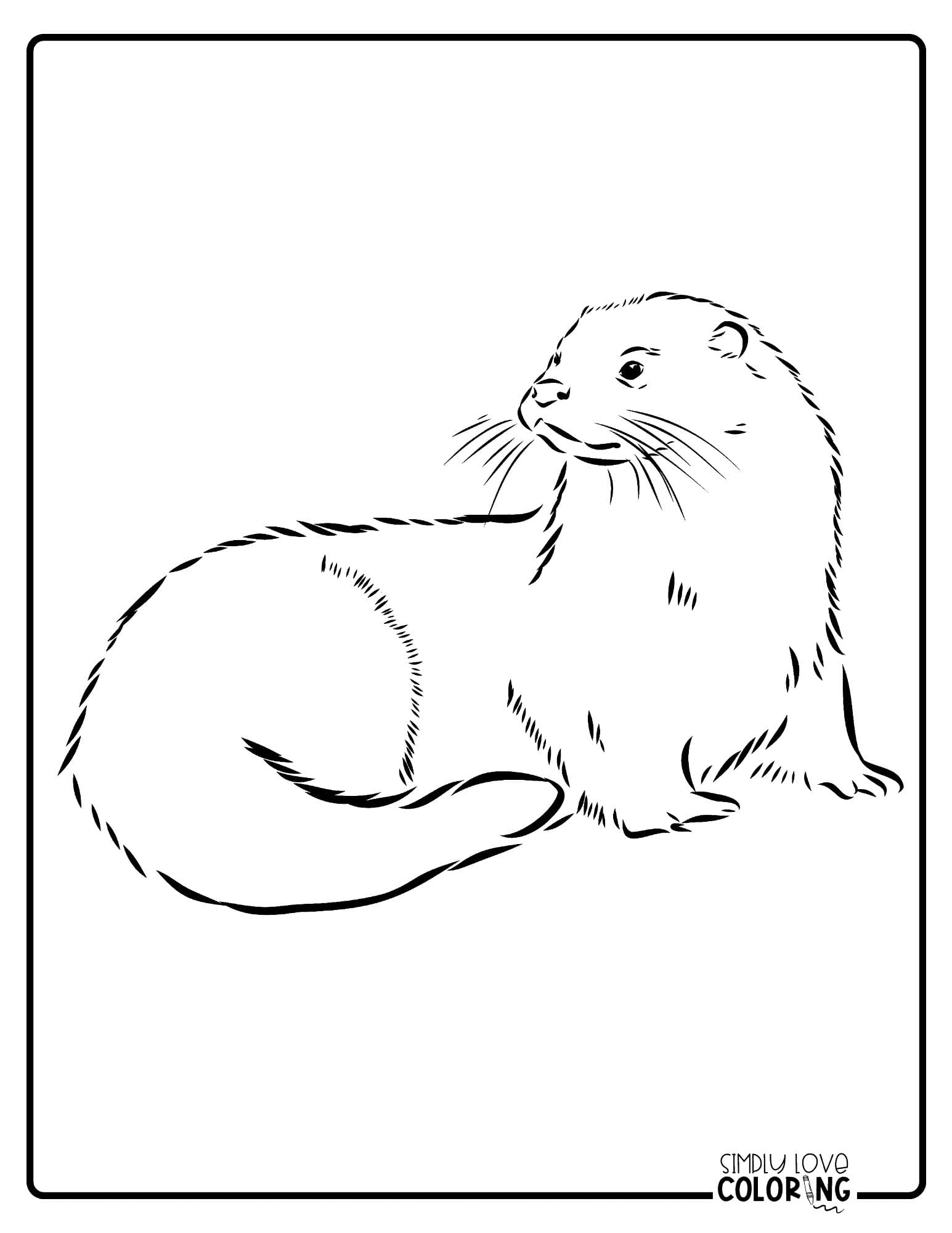 Types of Otter Coloring Pages for Kids