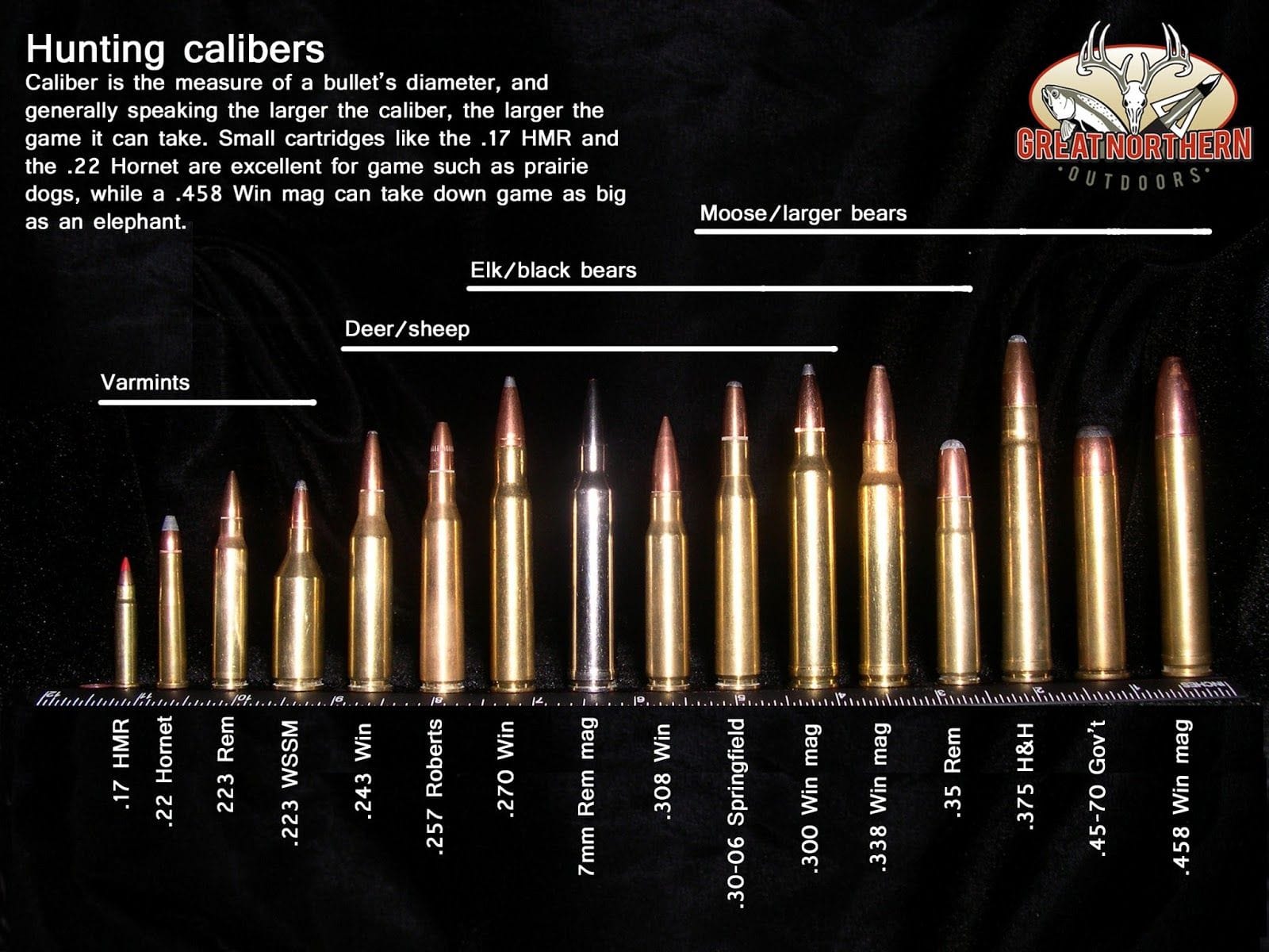 Practice with a Variety of Rifles and Ammunition